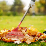 Garten im Herbst