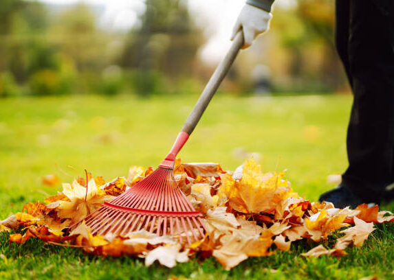 Garten im Herbst